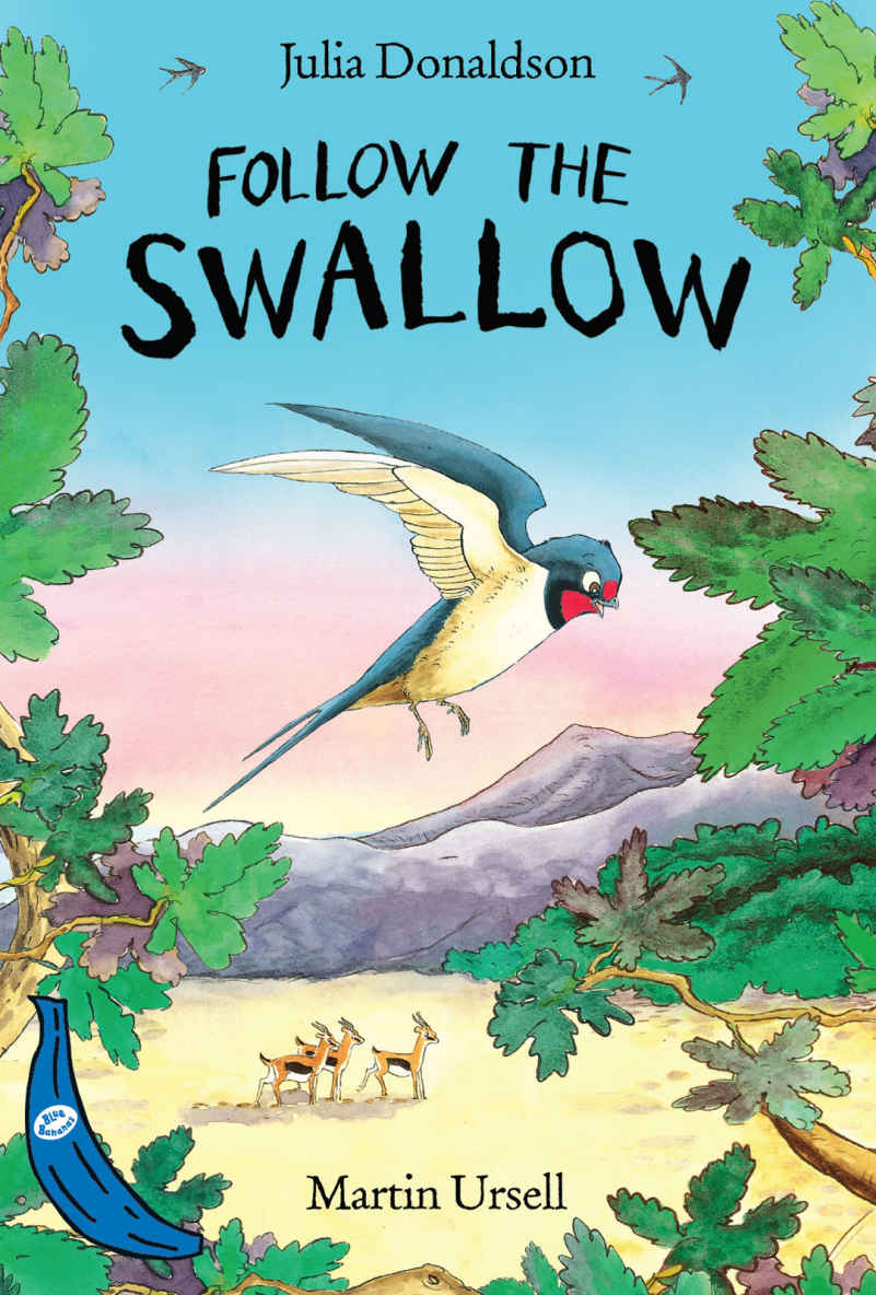 follow the swallow